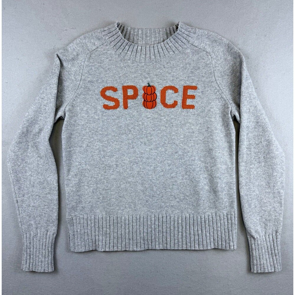 LOFT Womens XXS Gray Pumpkin Spice Fall Halloween Sweater Crewneck Pullover